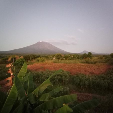 Khrisna Sunrise Homestay Tulamben Chambre photo