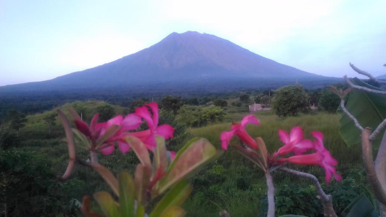 Khrisna Sunrise Homestay Tulamben Extérieur photo