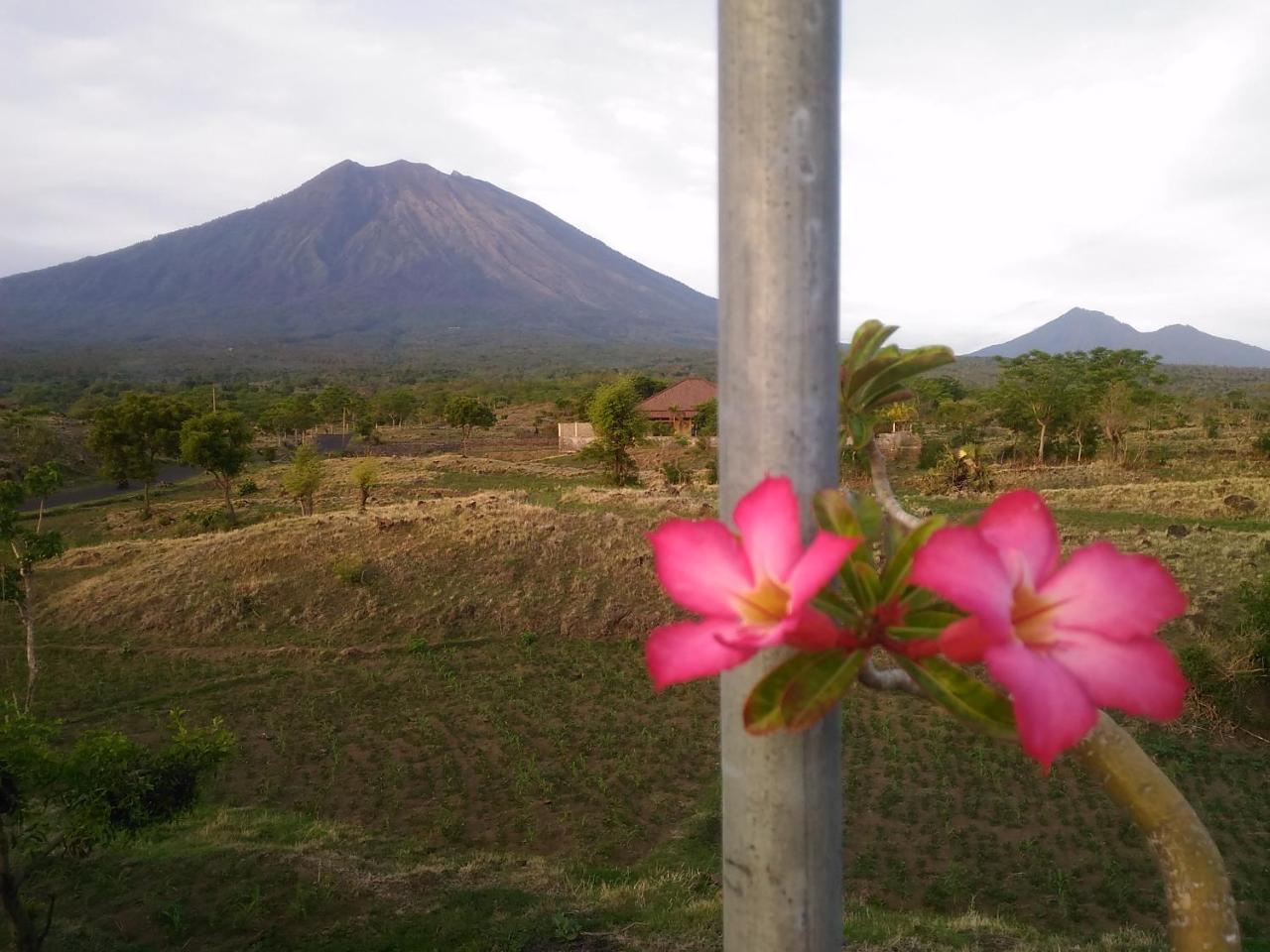 Khrisna Sunrise Homestay Tulamben Extérieur photo